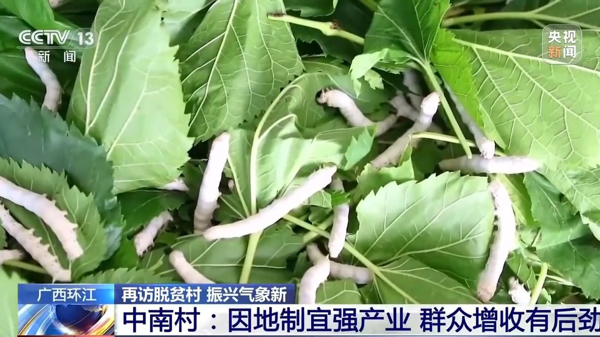 中南村:因地制宜强产业 群众增收有后劲