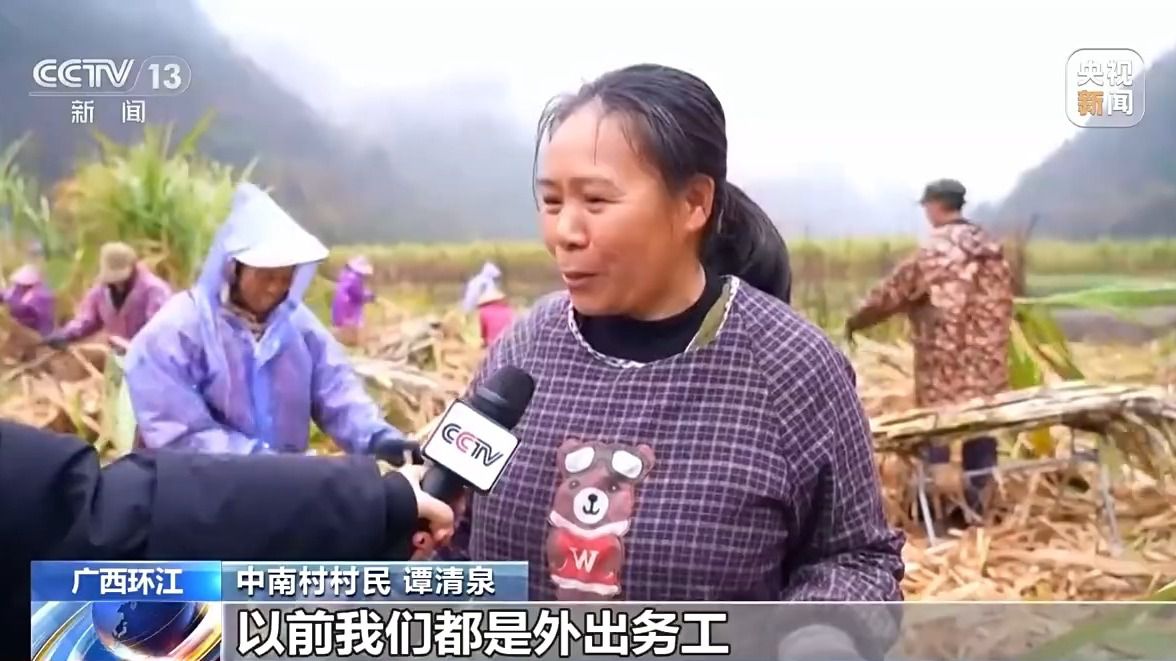 中南村:因地制宜强产业 群众增收有后劲