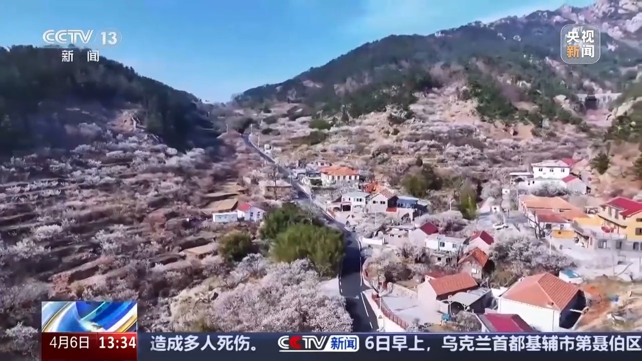 一路繁花 坐着“开往春天的地铁”踏春赏花 快来打卡!