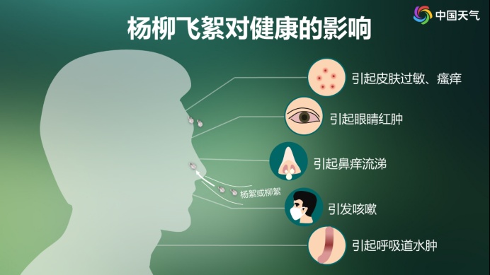 高敏预警!“过敏星人”噩梦又来了,持续一个多月