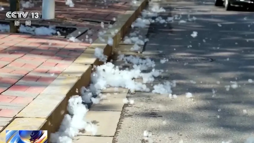 高敏预警!“过敏星人”噩梦又来了,持续一个多月