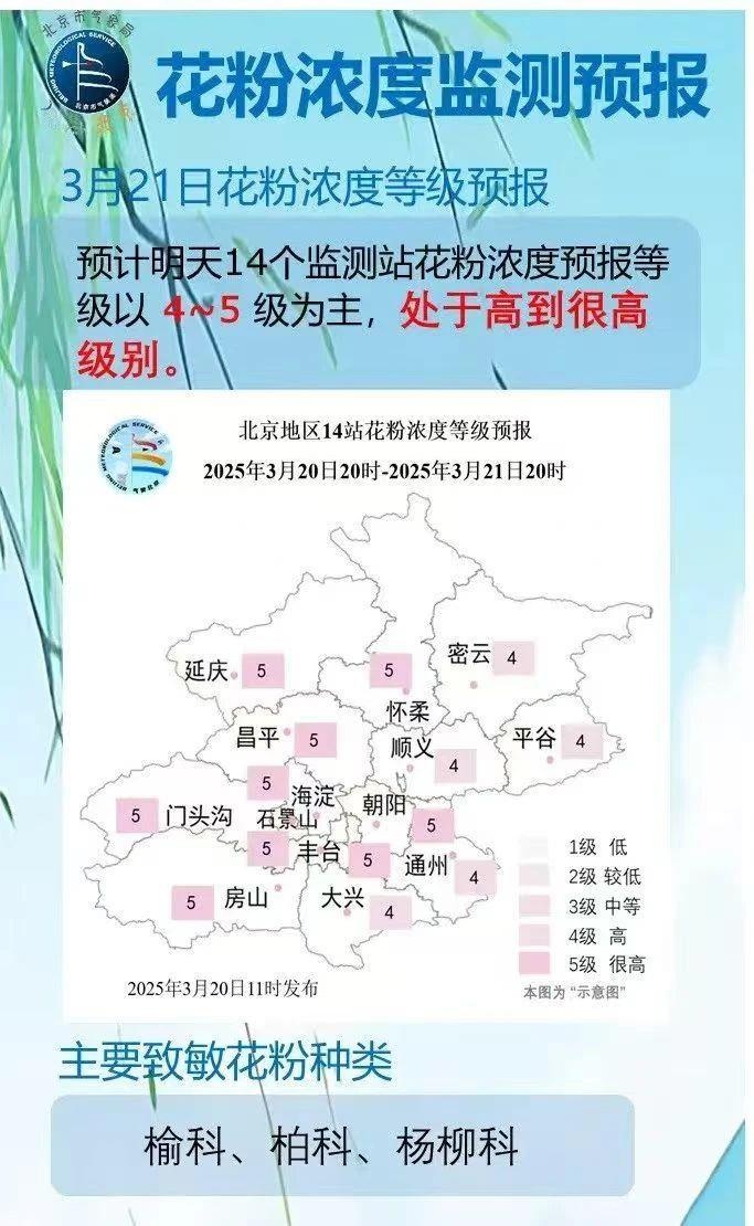 花粉过敏高发季来临 防护攻略请查收