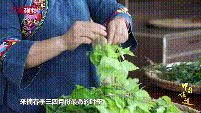 春天打翻调色盘,竟被壮乡人蒸成了饭!