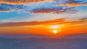 微视频丨“同志加兄弟”的深厚情谊