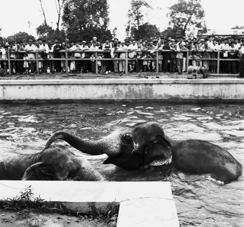 镜观·回响丨影像见证75载中越人文交流