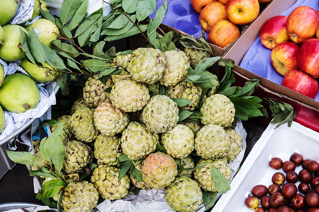 跟着习主席看世界丨这个“早相见、晚相望”的兄弟国,还有多少你不知道的亮点-