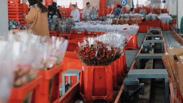 微视频丨“同志加兄弟”的深厚情谊