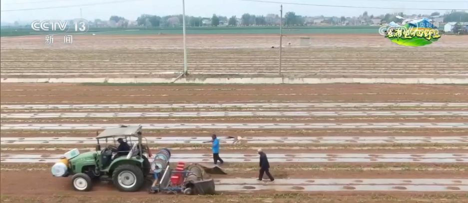 AI模型、“北斗”、物联网……智慧农业成为田间地头新常态