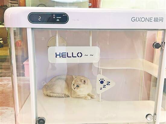 坐飞机、搭高铁、乘地铁!这个五一“毛孩子”也能说走就走