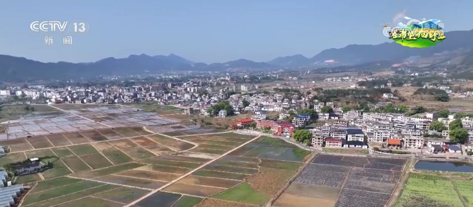 AI模型、“北斗”、物联网……智慧农业成为田间地头新常态