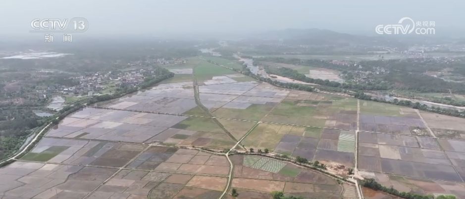 AI模型、“北斗”、物联网……智慧农业成为田间地头新常态