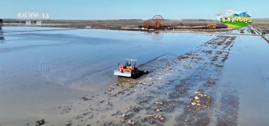 AI模型、“北斗”、物联网……智慧农业成为田间地头新常态