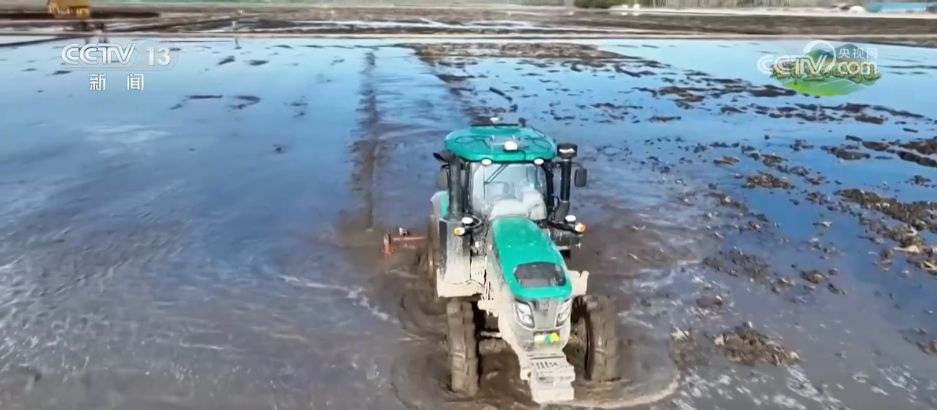 AI模型、“北斗”、物联网……智慧农业成为田间地头新常态