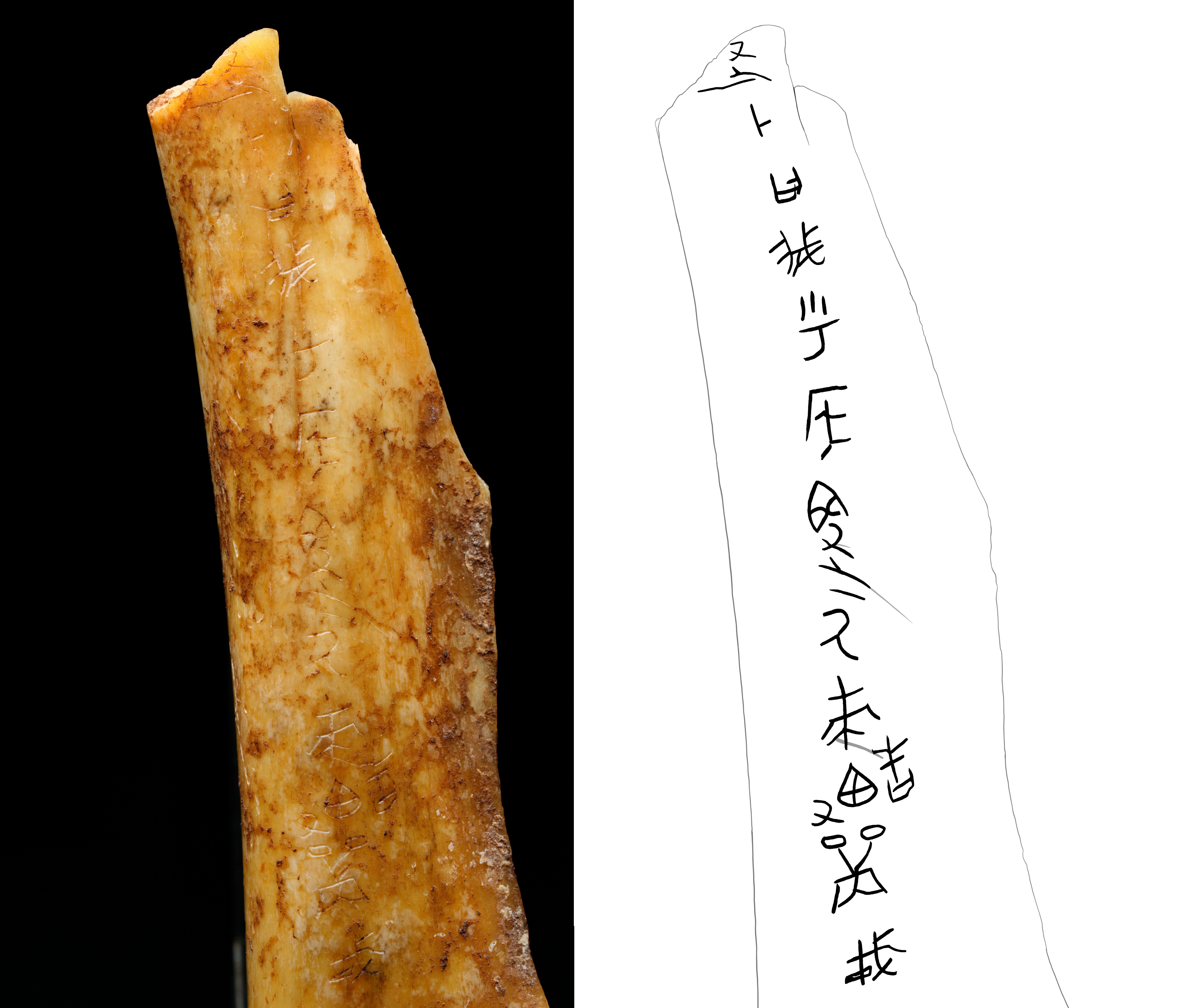 武王墩一号墓等入选 2024年度全国十大考古新发现公布