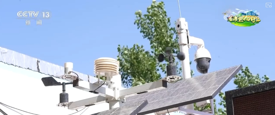 “把脉会诊”助力智慧田管 “数智”良方夺高产 农业焕发新活力