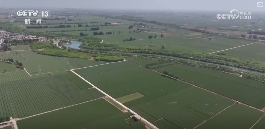 “把脉会诊”助力智慧田管 “数智”良方夺高产 农业焕发新活力