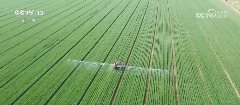 “把脉会诊”助力智慧田管 “数智”良方夺高产 农业焕发新活力