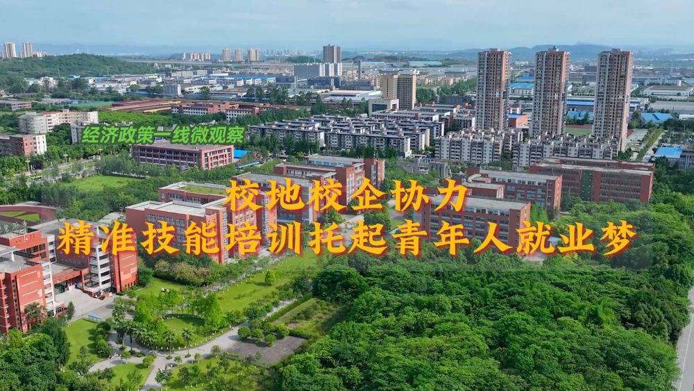 校地校企协力 精准技能培训托起青年人就业梦