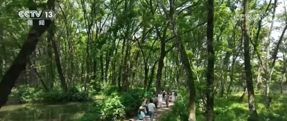 从“看风景”到“享生活” 文旅经典IP火爆“出圈”激发消费新潜力