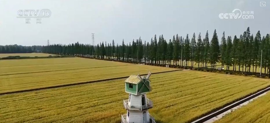 从“看风景”到“享生活” 文旅经典IP火爆“出圈”激发消费新潜力