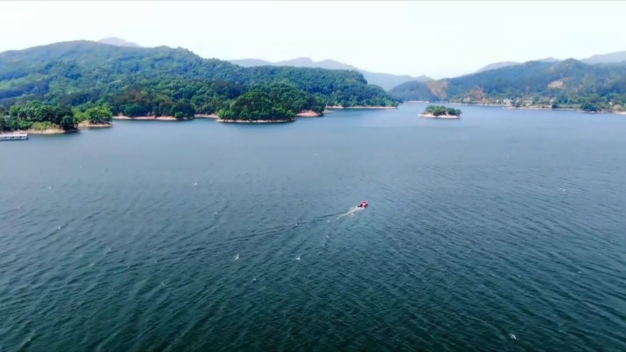 时政微视频丨瞰河南