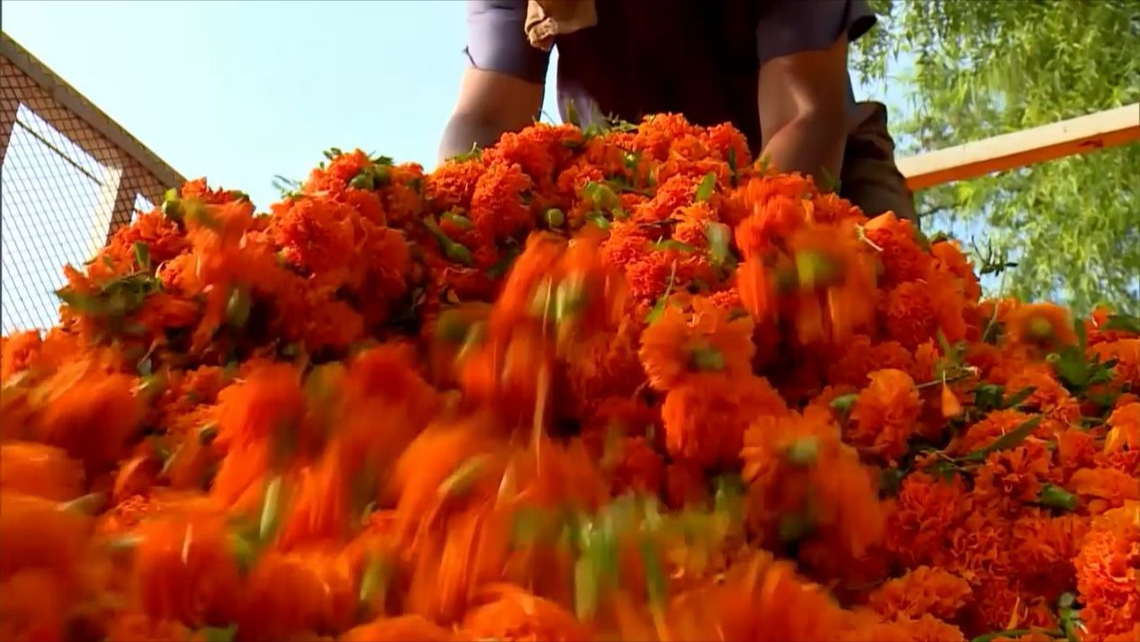 时政微视频丨瞰河南