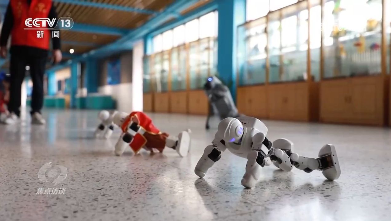 焦点访谈｜如何答好科学教育加法题？各地中小学创新探索