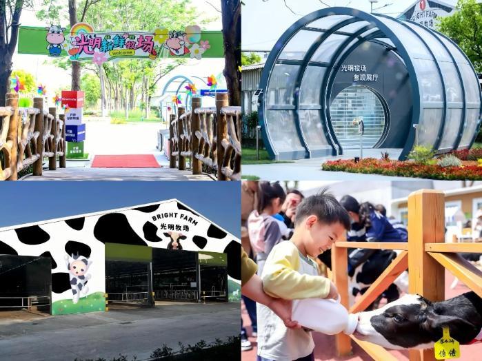 官宣！吴磊成为光明优倍品牌代言人，光明乳业焕新升级鲜启未来！