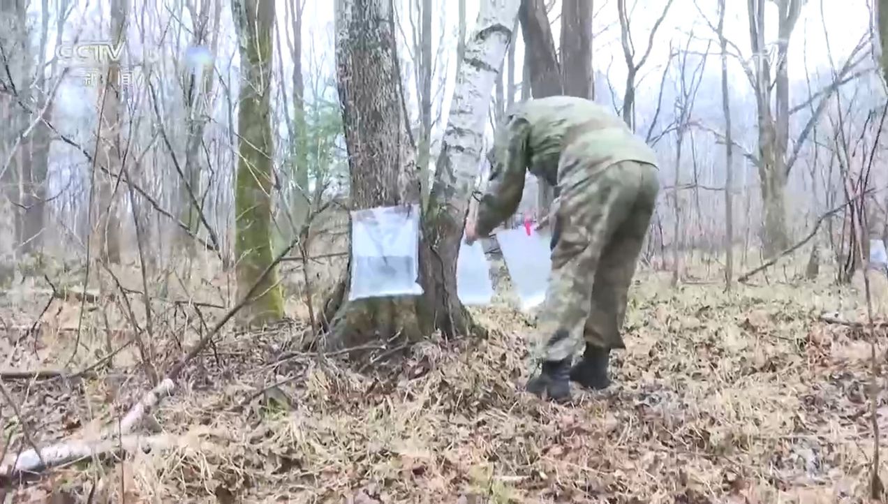 焦点访谈｜生物多样性助力我国经济高质量发展