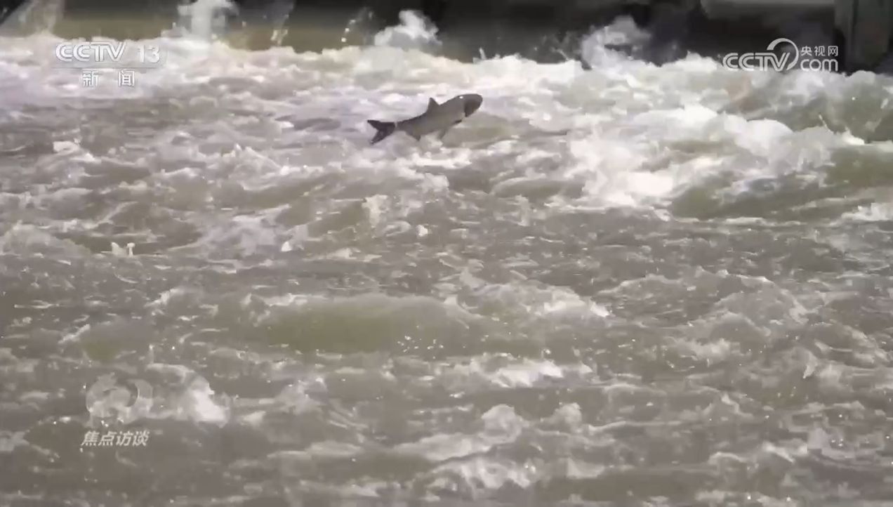 焦点访谈｜生物多样性助力我国经济高质量发展