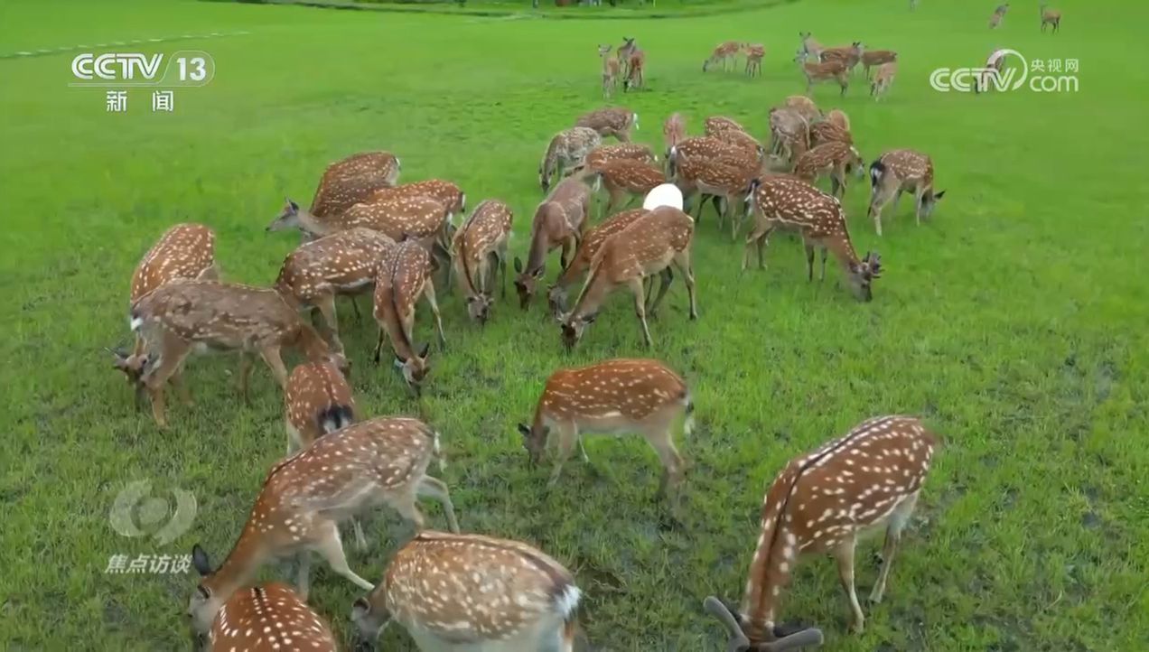 焦点访谈｜生物多样性助力我国经济高质量发展