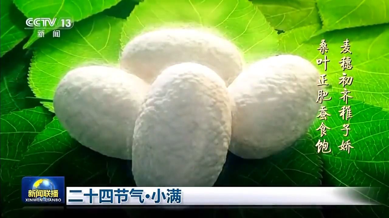 文化中国行丨二十四节气·小满 小满者，物至于此小得盈满