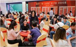 新世界物业销售持续增长，吸金近250亿港元完成全年目标逾95%