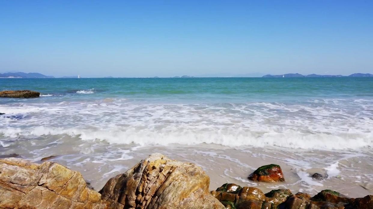 努力成长为有知识、有品德、有作为的新一代建设者