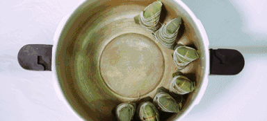 一口穿越两千年！老祖宗早就把粽子吃出了花儿！