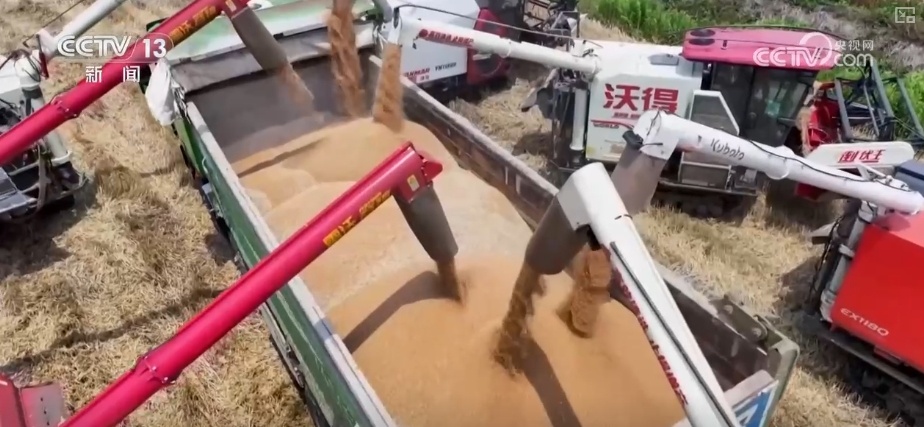 农业“大脑”护航“三夏”跑出加速度 紧盯产粮目标端牢中国人自己饭碗