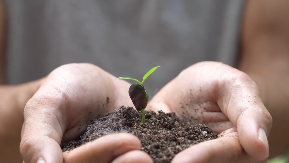 微视频|共建清洁美丽世界