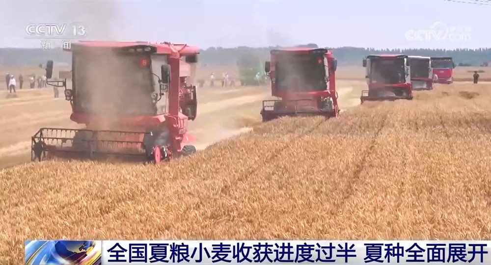 共享晒粮点、快速烘干 、24小时为农服务 各地推出暖心举措服务夏收