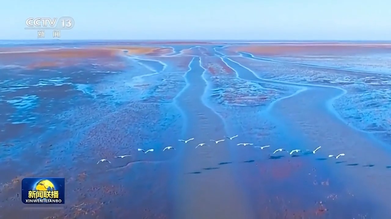 新思想引领新征程丨加快建设人与自然和谐共生的美丽中国