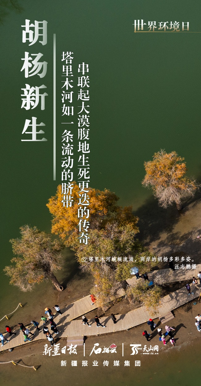世界环境日丨看新疆的“绿色”答卷