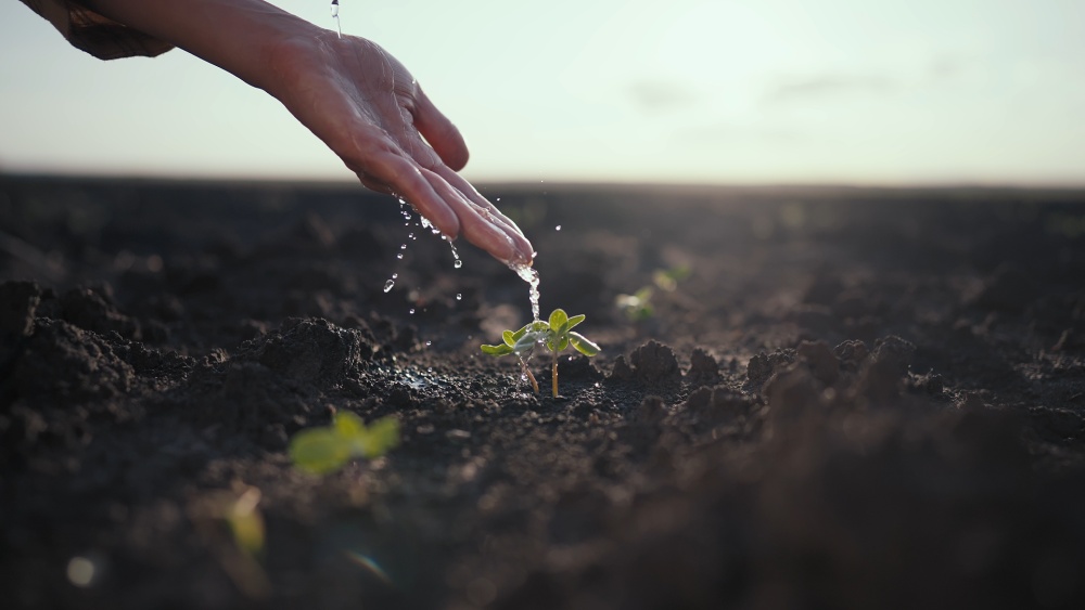 微视频|共建清洁美丽世界