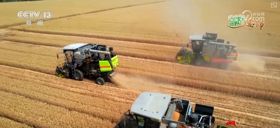 农业“大脑”护航“三夏”跑出加速度 紧盯产粮目标端牢中国人自己饭碗
