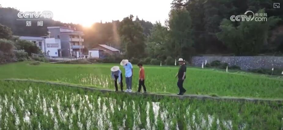 农业“大脑”护航“三夏”跑出加速度 紧盯产粮目标端牢中国人自己饭碗