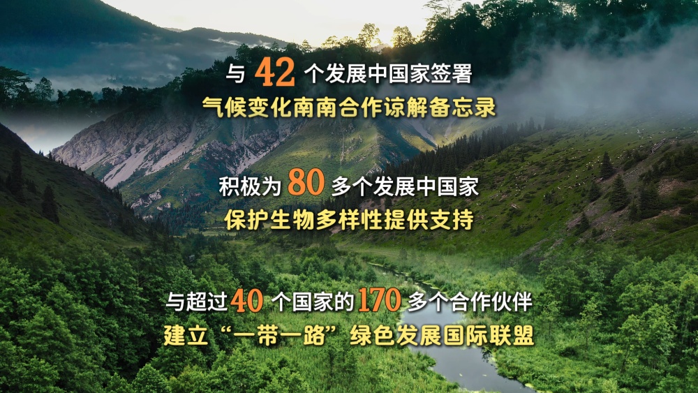 微视频|共建清洁美丽世界