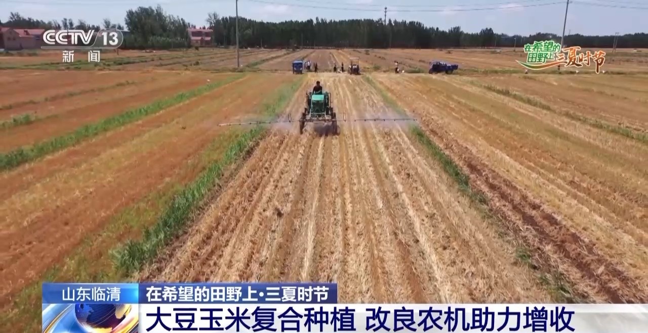 农田进了“托管班”、一地双收赚翻了……各地夏粮丰收有“粮”方