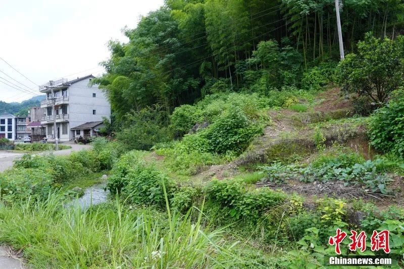 这名美国退役陆军中校为何往来“飞书”580余封中国“寻亲”?