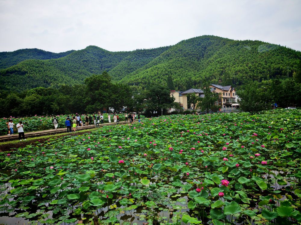和总书记面对面 - 青山常在路更长