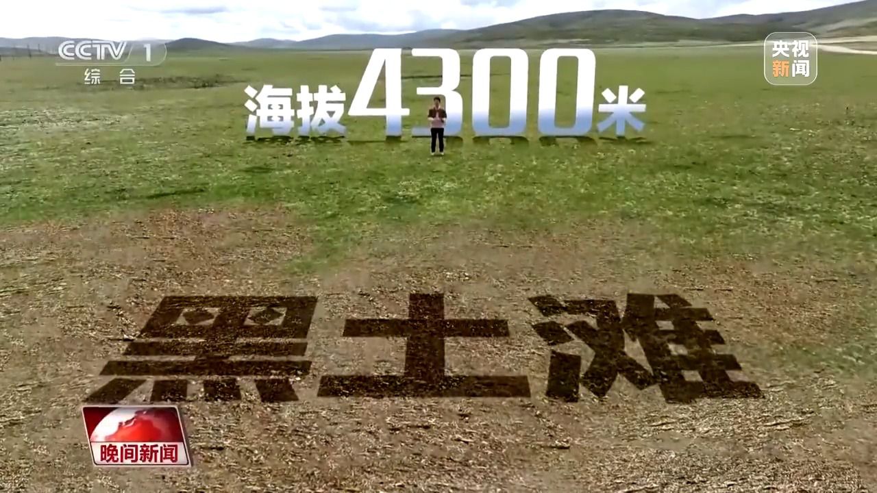 看见美丽中国丨三江源20年蜕变:千湖归来 “中华水塔”焕新生