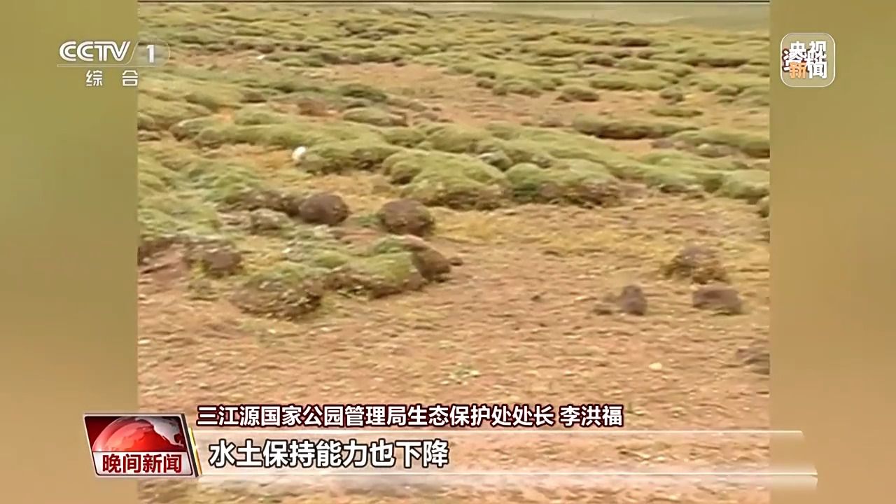 看见美丽中国丨三江源20年蜕变:千湖归来 “中华水塔”焕新生