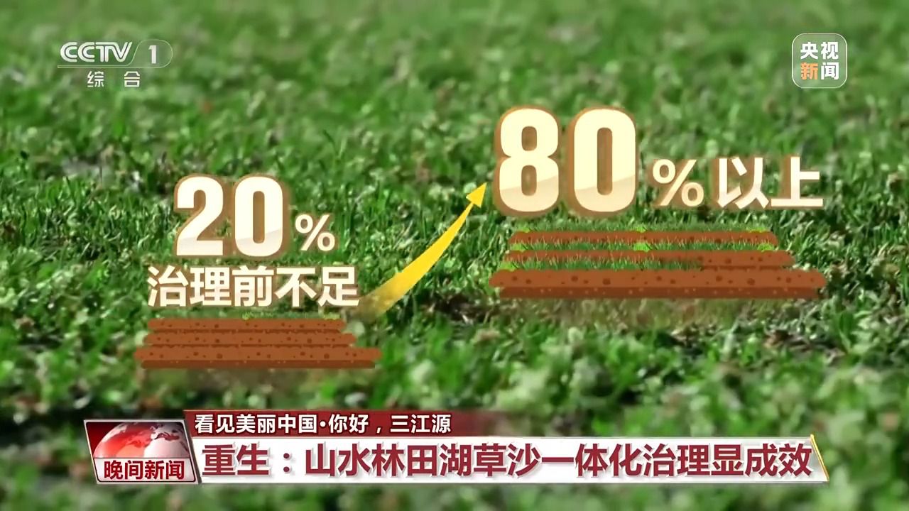 看见美丽中国丨三江源20年蜕变:千湖归来 “中华水塔”焕新生